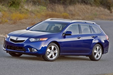 acura tsx sportswagon - acura, grass, sportswagon, car