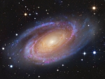 Bright Spiral Galaxy M81