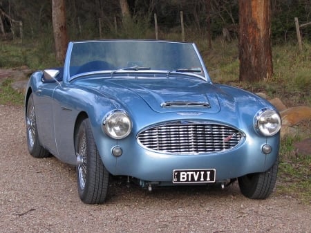 1959 Austin-Healey 3000 - Car, Austin-Healey, Sports, Old-Timer, 3000