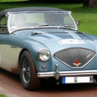 1955-56 Austin-Healey 100