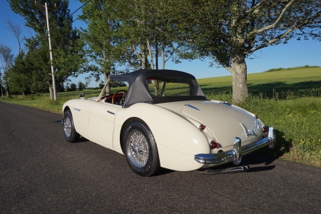 1962 Austin-Healey 3000 BN7 II - sports, bn7 ii, car, 3000, old-timer, austin-healey