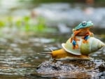 Frog and snail