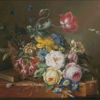 Still life
