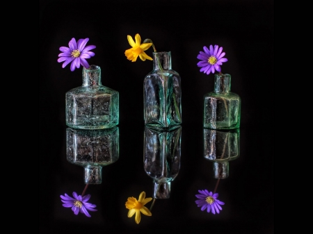 Still Life - bottle, flowers, glass, petals