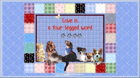 Love Is... - quilt, cats, paws, dogs