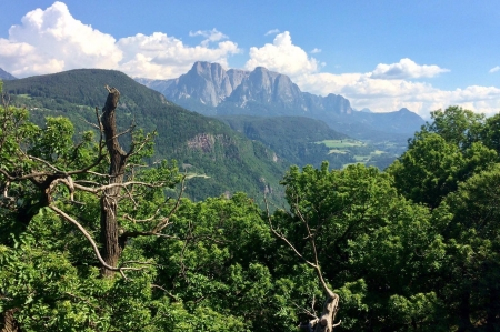 Italian nature - forest, cool, fun, nature, mountain