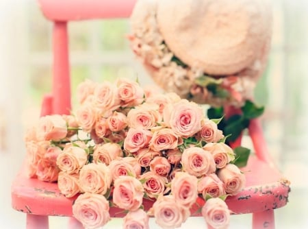 pink roses on a pink chair - chair, abstract, roses, pink, still life