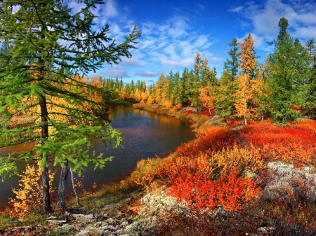 Autumn at the River