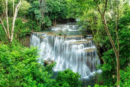 Forest Waterfall - water, forest, trees, waterfall