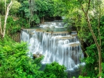 Forest Waterfall