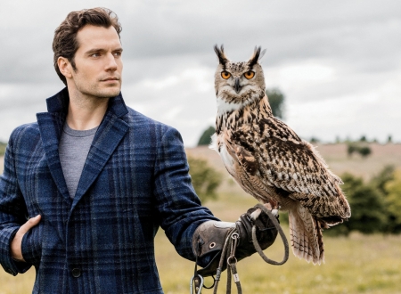 Henry Cavill - pasare, bird, owl, bufnita, actor, henry cavill, man