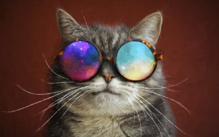 :-) - fantasy, pisica, funny, creative, cat, sunglasses