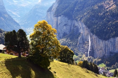 Amazing our planet - nature, waterfall, mountain, tree