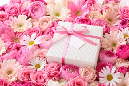 Happy Birthday! - gift, pink, card, birthday, flower