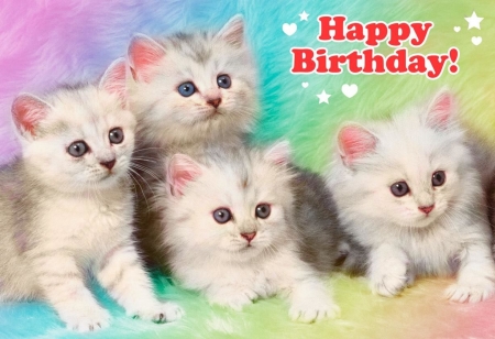 Happy Birthday! - animal, pisica, kitten, cute, card, cat, birthday