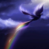 Rainbow Bird