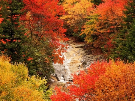 Autumn Forest Fall - fall, streams, river, waterfall, orange, trees, nature, autumn