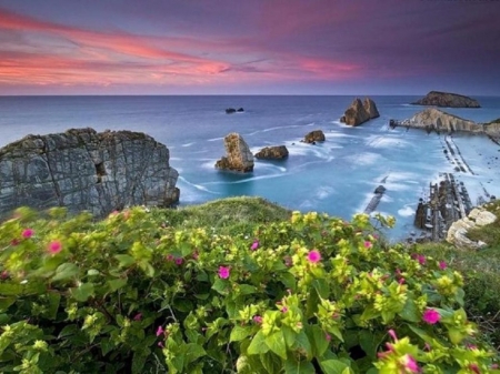 Sea Beach,Spain - nature, sky, beach, clouds, flowers, sea, rocks, coast