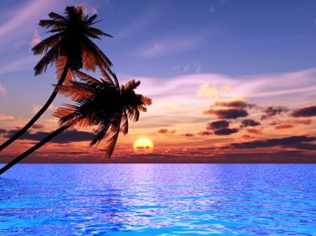 Beach Sunset - palm, clouds, beach, trees, sunset, sea, nature, blue