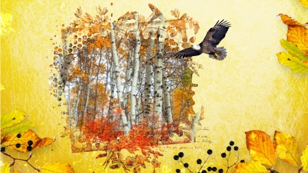 Fall Collage 33 - aspen, fall, collage, trees, eagle, leaves, birch