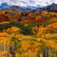 Colorful Fall in Mountains