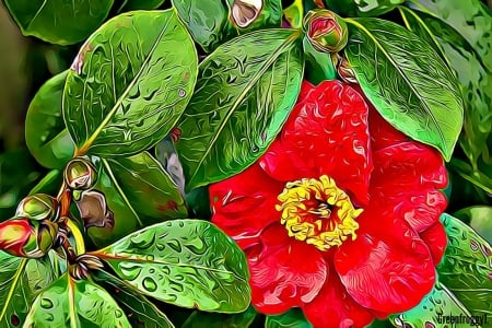 FRACTAL CAMELLIA FLOWER - flower, fractal, abstract, camellia