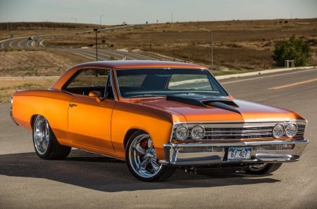 1967-Chevelle - classic, bowtie, muscle, gm