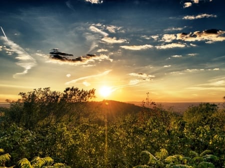 Delightful Sunrise - nature, horizon, sky, trees, dawn, clouds, sunrise