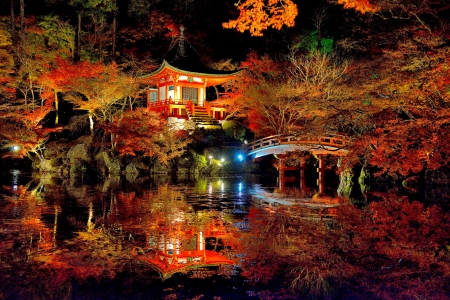 Autumn night - autumn, refelction, fall, japan, river, temple, bridge, garden, pond, asia, lake, night, park, lovely, forest, beautiful, kyoto