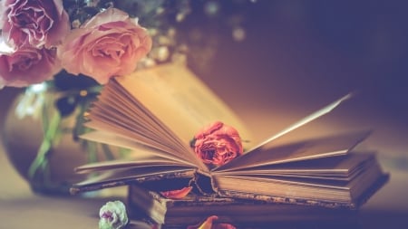 ▒❤▒ - flowers, style, Bud, books, petals