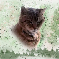 In Memory of Samantha