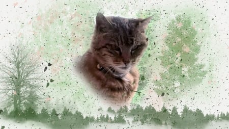 In Memory of Samantha - art, kitten, kitty, cat