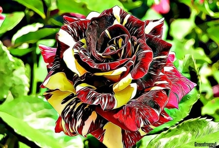 TWO TONED ROSE FRACTAL