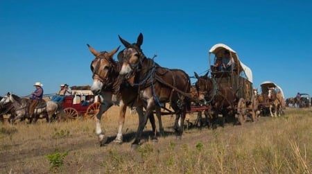 Casey Tibb Ride - Cowboys, Ride, Horses, Casey Tibb, Wagons, Coaches