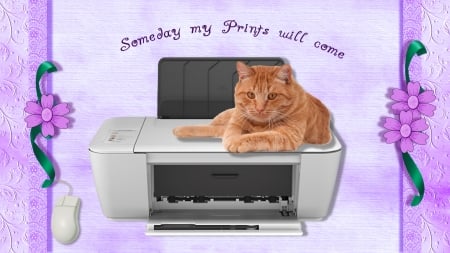 Once Upon A Time - printer, text, flowers, cat