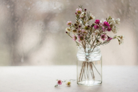 ♥ - abstract, flowers, vase, photography