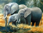 elephants