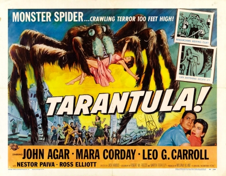 tarantula - alien, spider, tarantula, monster