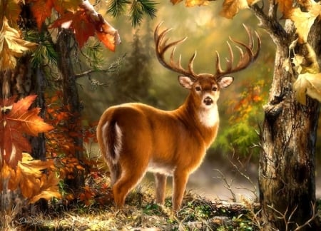 Whitetail in Fall - attractions in dreams, autumn, trees, forests, deer, nature, love four seasons, leaves, paintings, colors, fall season