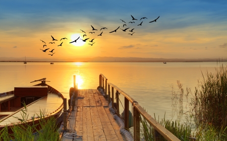 Sunset - River, Boat, Bridge, Birds