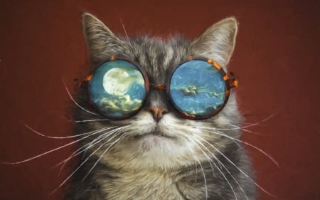 Cat - moon, cat, night, sunglasses, funny, pisica, fantasy, creative, reflection, red, blue, animal, luna