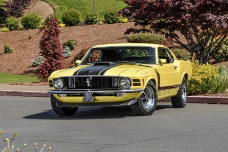 1970 FORD MUSTANG - image, ford, mustang, car