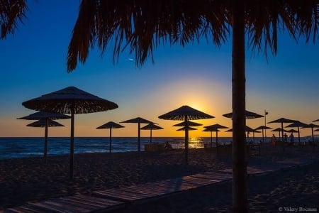 Sunset Beach - sky, beach, trees, sunset, umbrellas