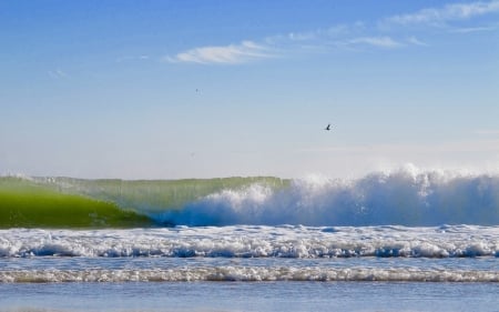 Ocean Wave - nature, sky, beach, ocean, wave