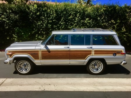 1989 Jeep Grand Wagoneer