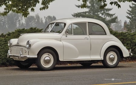 1952 Morris Minor CKD