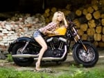 harley davidson sportster