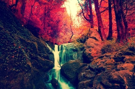 Autumn Forest Waterfall - trees, nature, waterfall, autumn, red, forest, foliage