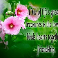 LOVE OF A FRIEND