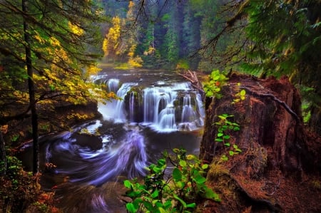 Waterfall in autumn forest - autumn, trees, cascades, waterfall, lovely, view, fall, forest, beautiful, colors